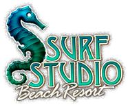 Surf Studio